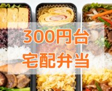 300円台の宅配弁当、その選び方を調査!コスパ最強か、その実態を紹介 bento-300